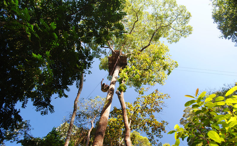 โหนสลิง Jungle Flight ดอยสะเก็ด เชียงใหม่