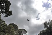 โหนสลิง Jungle Flight ดอยสะเก็ด เชียงใหม่