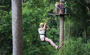 โหนสลิง Jungle Flight ดอยสะเก็ด เชียงใหม่