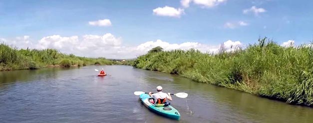 ทัวร์พายเรือคายัค แม่น้ำปิง เชียงใหม่