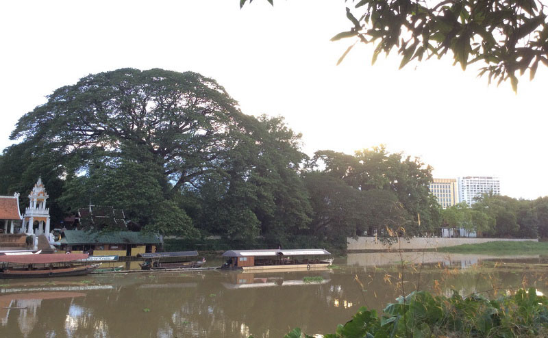 ริมฝั่งแม่น้ำปิง maeping river cruise