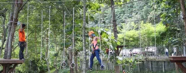 ทัวร์ผจญภัยบนต้นไม้ Phoenix Adventure Park เชียงใหม่