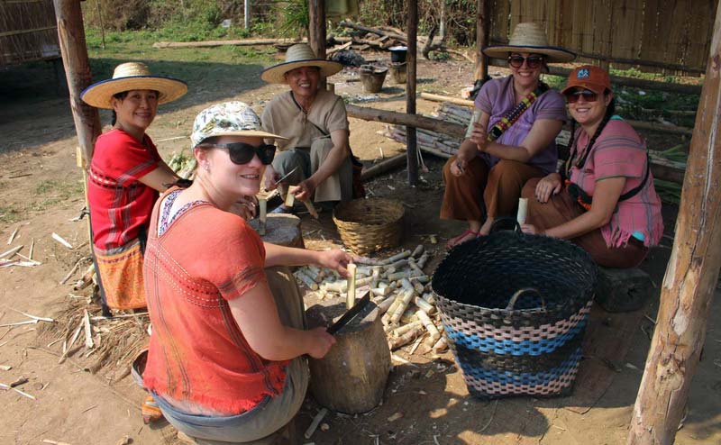 เลี้ยงช้าง ดูแลช้าง Ran-Tong Elephant Center