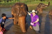 เลี้ยงช้าง ดูแลช้าง Ran-Tong Elephant Center