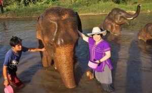 เลี้ยงช้าง ดูแลช้าง Ran-Tong Elephant Center