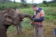 เลี้ยงช้าง ดูแลช้าง Ran-Tong Elephant Center