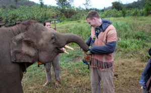 เลี้ยงช้าง ดูแลช้าง Ran-Tong Elephant Center