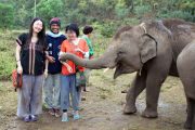 เลี้ยงช้าง ดูแลช้าง Ran-Tong Elephant Center