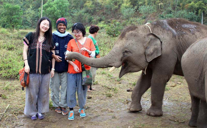 เลี้ยงช้าง ดูแลช้าง Ran-Tong Elephant Center