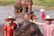 เลี้ยงช้าง ดูแลช้าง Ran-Tong Elephant Center