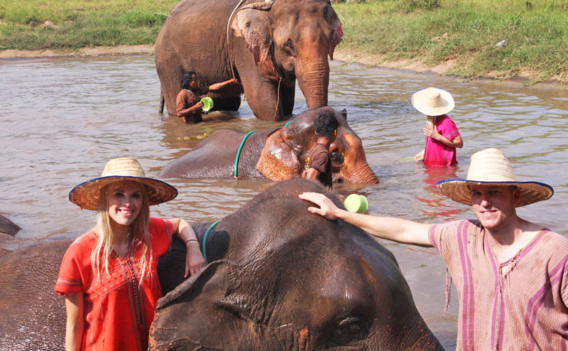 เลี้ยงช้าง ดูแลช้าง Ran-Tong Elephant Center