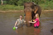 เลี้ยงช้าง ดูแลช้าง Ran-Tong Elephant Center