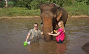 เลี้ยงช้าง ดูแลช้าง Ran-Tong Elephant Center