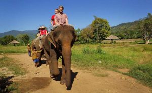 เลี้ยงช้าง ดูแลช้าง Ran-Tong Elephant Center