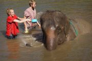 เลี้ยงช้าง ดูแลช้าง Ran-Tong Elephant Center