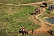 เลี้ยงช้าง ดูแลช้าง Ran-Tong Elephant Center