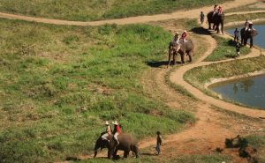 เลี้ยงช้าง ดูแลช้าง Ran-Tong Elephant Center