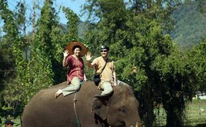 เลี้ยงช้าง ดูแลช้าง Ran-Tong Elephant Center