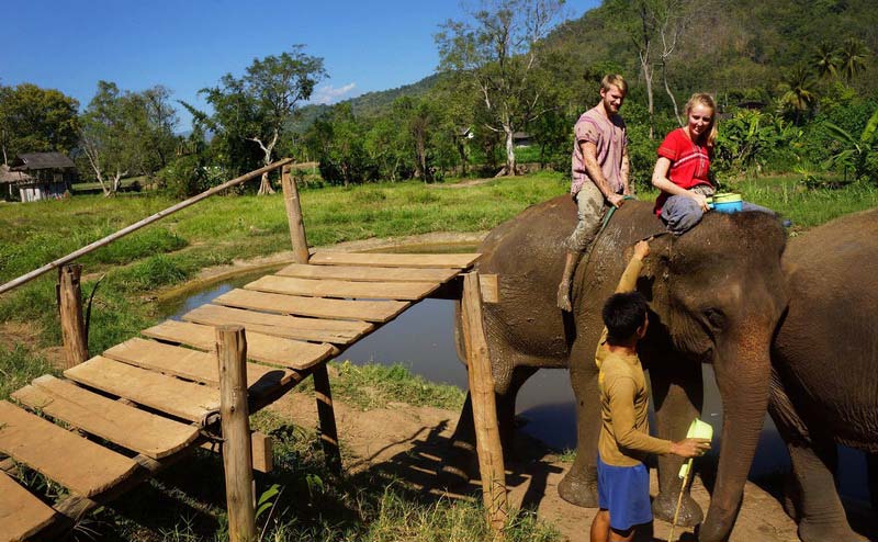 เลี้ยงช้าง ดูแลช้าง Ran-Tong Elephant Center