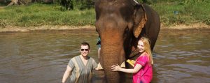 เลี้ยงช้าง ดูแลช้าง Ran-Tong Elephant Center