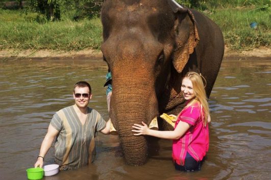 เลี้ยงช้าง ดูแลช้าง Ran-Tong Elephant Center