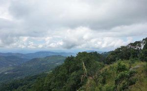 ปั่นจักรยานเสือภูเขา เชียงใหม่