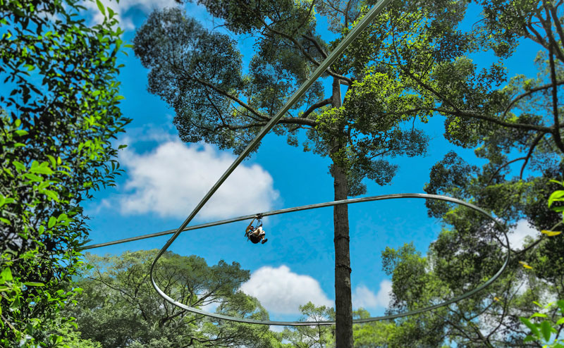 โหนสลิง Jungle Flight ดอยสะเก็ด เชียงใหม่