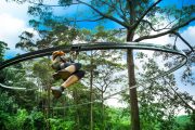 โหนสลิง Jungle Flight ดอยสะเก็ด เชียงใหม่