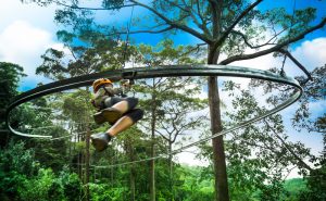 โหนสลิง Jungle Flight ดอยสะเก็ด เชียงใหม่