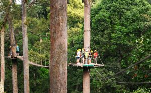 โหนสลิง Jungle Flight ดอยสะเก็ด เชียงใหม่