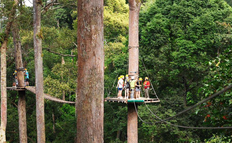 โหนสลิง Jungle Flight ดอยสะเก็ด เชียงใหม่